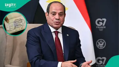 Egypt Lists Documents Foreigners Must Present to Bring Pets Into the Country