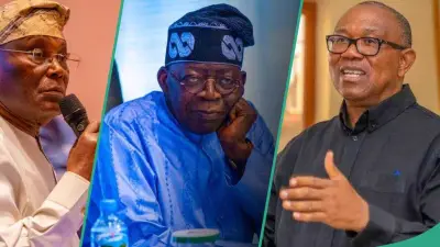 Ex-Obidient Lists 5 Reasons Tinubu May Defeat Atiku, Peter Obi in 2027