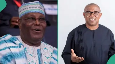 Fact-Check: Atiku Did Not Step Down for Peter Obi in 2027 Race