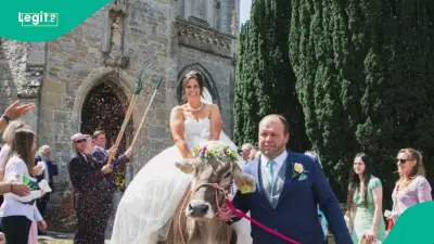 Farmer Bride Rides Cow to Wedding in Somerset, Video Goes Viral