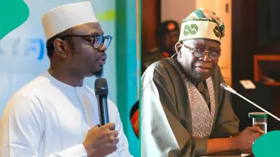 FG N5m NiYA × Cascador Founders Programme: How to Apply