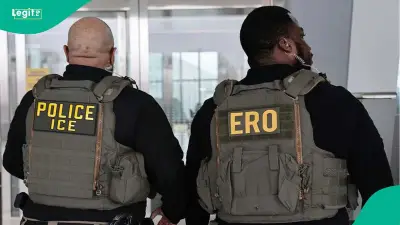 ICE Plans $20M Electric Shock Gloves for Immigration Officers