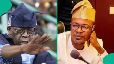 ICPC Names 13 Officials in Fake Agency Scandal, Recommends Action