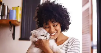 International Cat Day: 50 Nigerian Cat Names with Meanings