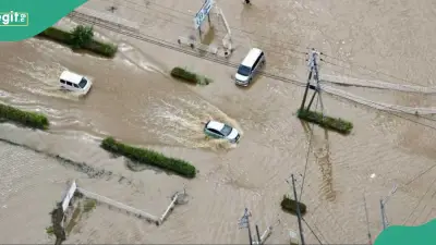 Japan's Chiba Records Highest-Ever Rainfall, Killing Six and Stranding Thousands