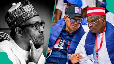 Kwankwaso: Why I Chose to Be Obi's VP in 2027