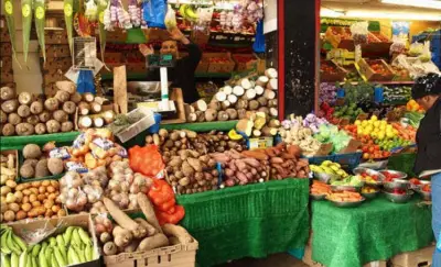 Lagos Food Prices: Onion Up 40%, Cooking Gas Eases in July
