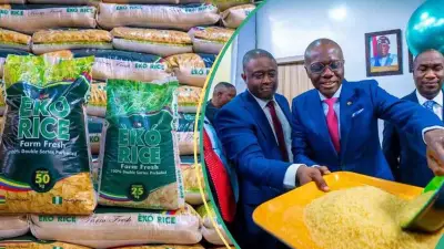 Lagos Trains Rice Millers on Fortified Rice Production as Global Market Booms