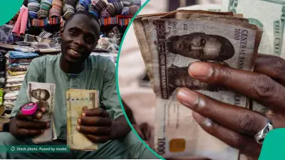 Naira Falls by N7.09 Against Dollar at Official Market on Wednesday