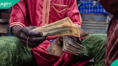 Naira Falls to N1,368.22/$1 at Official Market as FX Demand Persists