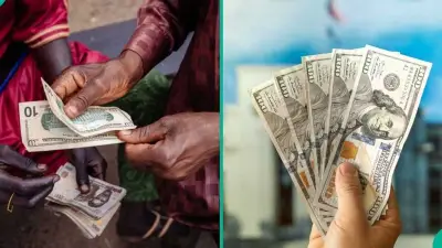 Naira Gains to N1,364.83/$1 as FX Turnover Surges 132%