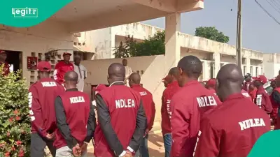 NDLEA Destroys N301bn Illicit Drugs in Lagos