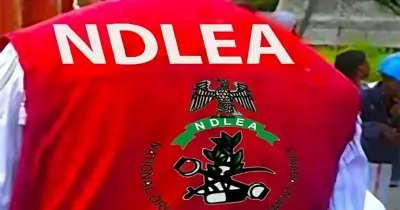 NDLEA intercepts cocaine hidden in phone chargers bound for Saudi Arabia