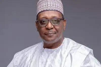 Nigeria Approves Decriminalisation of Attempted Suicide, Mental Health Act Amendment