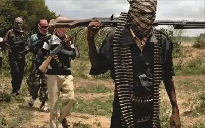 Nigeria Records 256 Kidnap Victims, 445 Casualties in Two Weeks