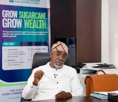 Nigeria Targets Sugar Self-Sufficiency with $1bn Pipeline, N10bn Fund