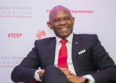 Nigeria's Oil Losses Drop from 97% to 2% Under Tinubu, Says Elumelu