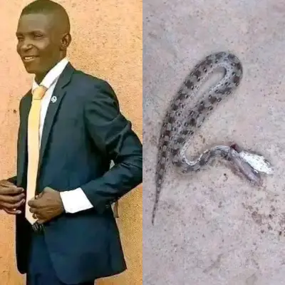 Plateau Pastor Dies from Snakebite in Gamakai Community