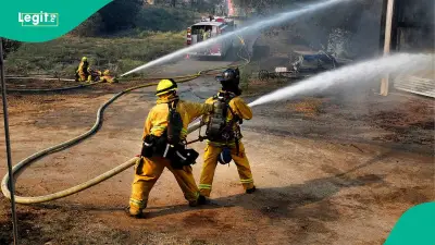 Reno Wildfire Forces 42,000 to Evacuate as Nevada Governor Declares Emergency