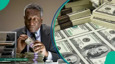 SEC Orders Asset Freeze on Six Individuals, Three Firms Over Terrorism Financing