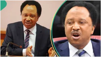 Shehu Sani Backs Uba Sani as 60-Year-Old Kaduna Stadium Demolished