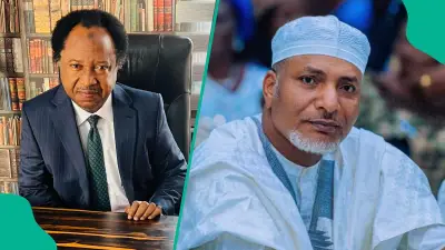 Shehu Sani Reacts as Senator Mustapha Dumps APC for PDP in Kwara
