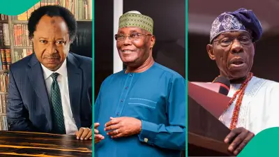 Shehu Sani Says Obasanjo-Atiku Feud Will Last Until One Dies