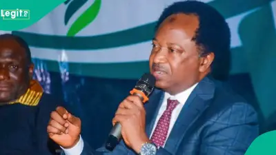 Shehu Sani Slams ADC Over Osun Election, Says Party Never Won By-Election