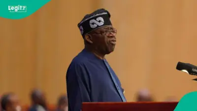 Tinubu: Africa's Livestock Sector Key to Food Security, Economic Growth