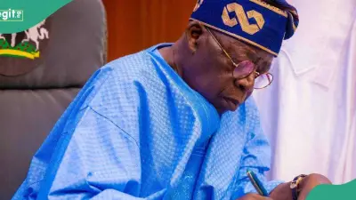 Tinubu Appoints Abel Olumuyiwa Enitan as New Head of Civil Service