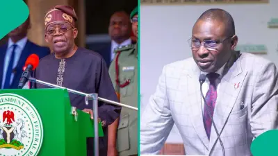 Tinubu Directs EFCC-Recovered Funds, Unclaimed Dividends to NELFUND