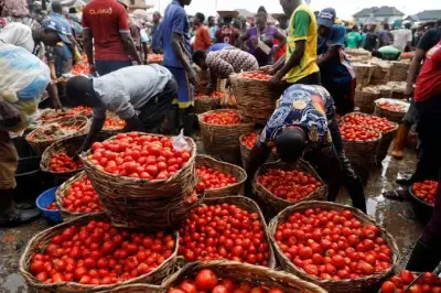 Top 10 Most Expensive States to Live in Nigeria in July 2026