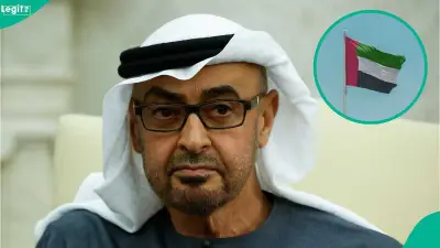UAE Lists 3 Work Permits Valid Under 2 Years, Explains Conditions