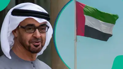 UAE Lists 5 Work Permits Valid for 2 Years: Full Details