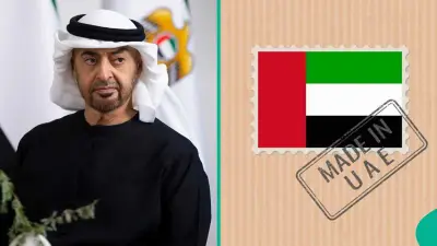 UAE: Only 3 Authorities Can Nominate Foreigners for Citizenship in 2026