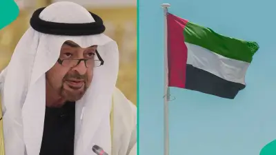 UAE Work Permit Costs: AED 250 to AED 3,450 Based on Company Classification