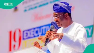 Why Yoruba Should Stop Advocating Regional Govt - Hamzat