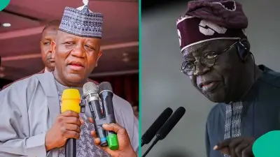 Yari: No Future President Can Restore Fuel Subsidy, APC DG Drops Bombshell
