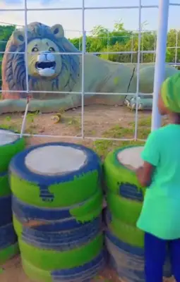 Zoo in Yola Shows Statues Instead of Live Animals, Family Shocked