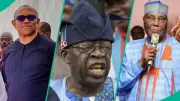 500 Islamic clerics back Tinubu's re-election after Jigawa meeting