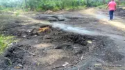 51 CSOs Oppose Oil Resumption in Ogoniland, Demand Cleanup