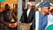 6 Nigerian Celebrities Who Returned to School After Fame: Davido, DJ Cuppy, Kanayo