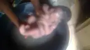 Abandoned newborn rescued alive from Benue forest