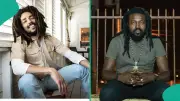 Bob Marley One Love Actor Brian-Todd Boucher Killed in Jamaica Shooting