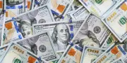 CBN FX Sales Surge to $953 Million in March After January Slump