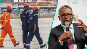 Dangote Group Opens Fresh Job Vacancies in Cement, Foods, and Corporate Units