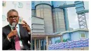 Dangote, Sinoma Sign $800m Deal to Expand Itori Cement Plant