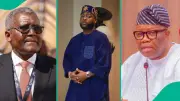Davido: Akpabio, Dangote Called Me to Delete Tweets During Osun Election
