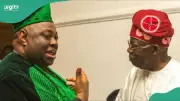 Dele Momodu Vows to Swim Atlantic for Tinubu if He Upholds Democracy