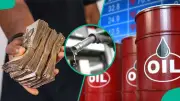 Delta, Bayelsa, Akwa Ibom Take 75% of Nigeria's N321.9bn Oil Derivation in Q1 2026